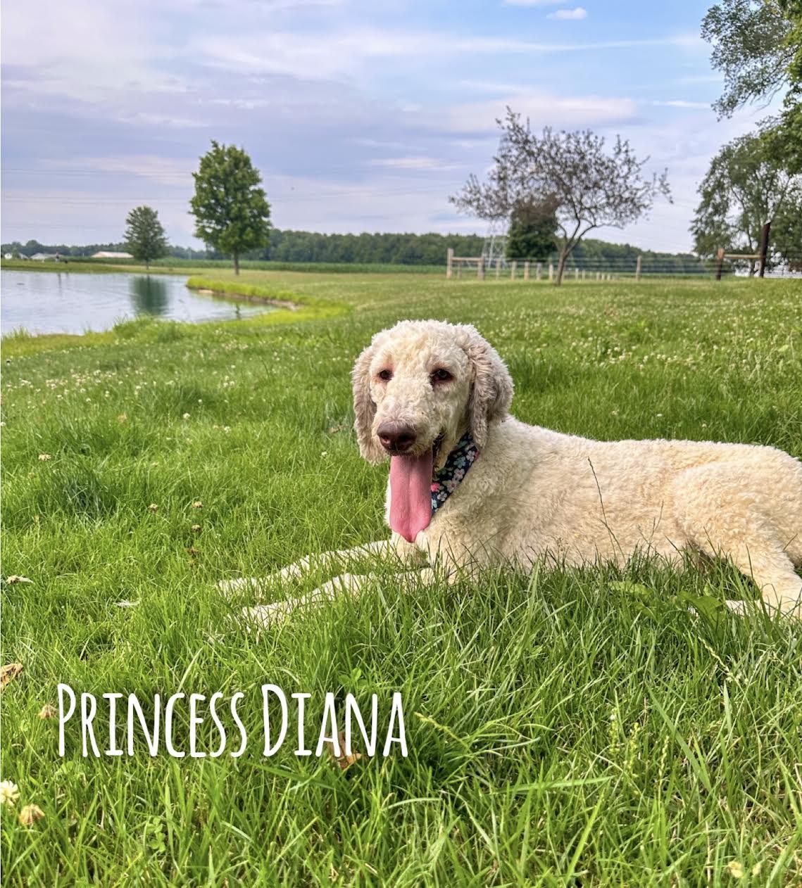 Princess Diana
