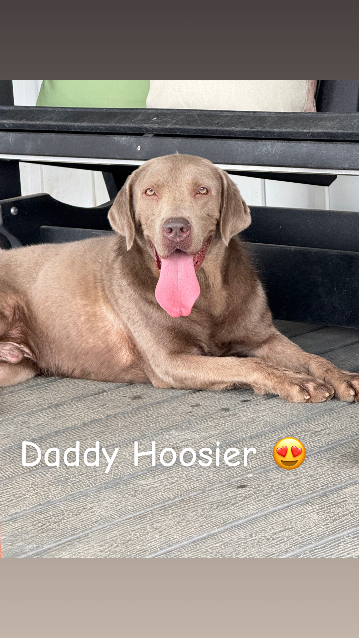 Hoosier