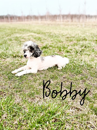 Bobby
