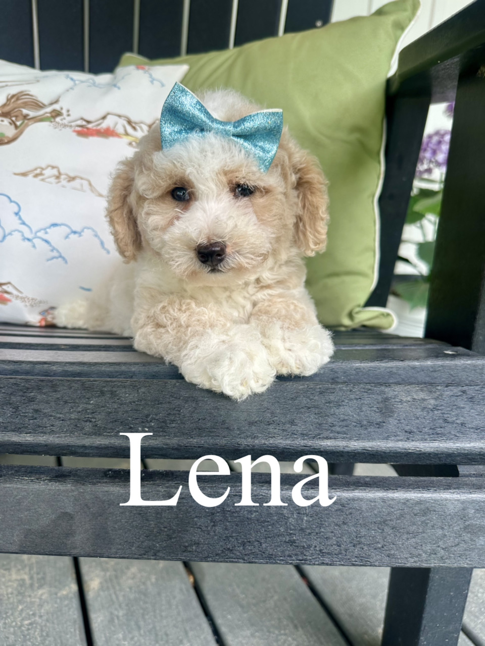 Lena 1