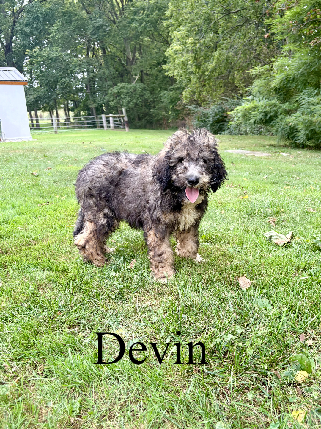 Devin 2