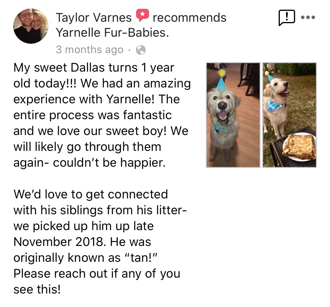 Review from Taylor Varnes