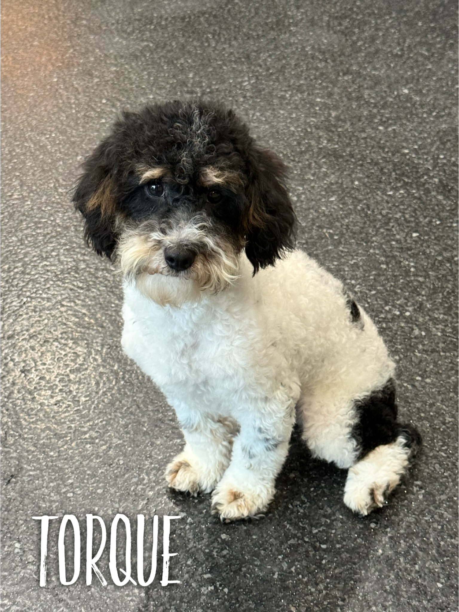Torque